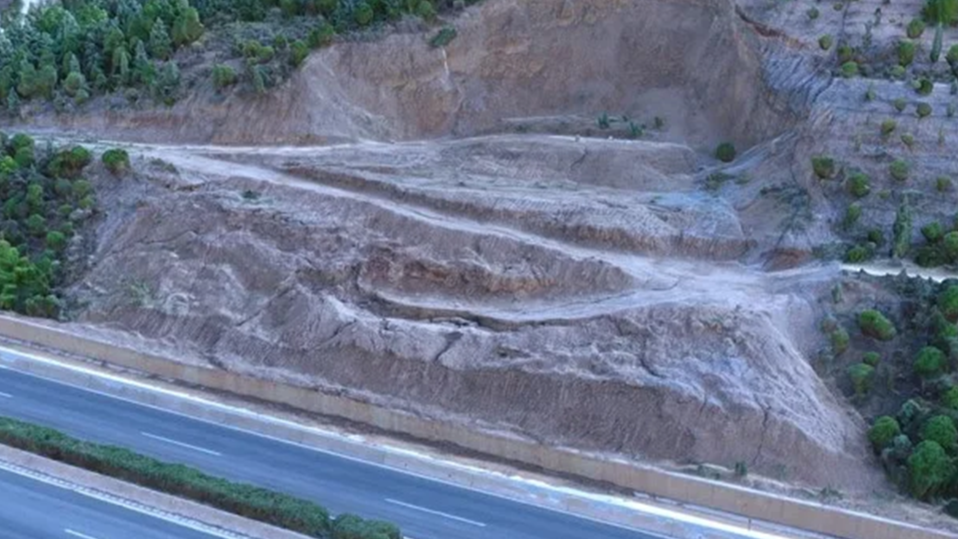 Software Engineering and Digital Services